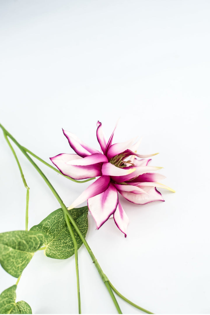 Passion Clematis vine spray - Greenery Marketartificial flowers2285119FU