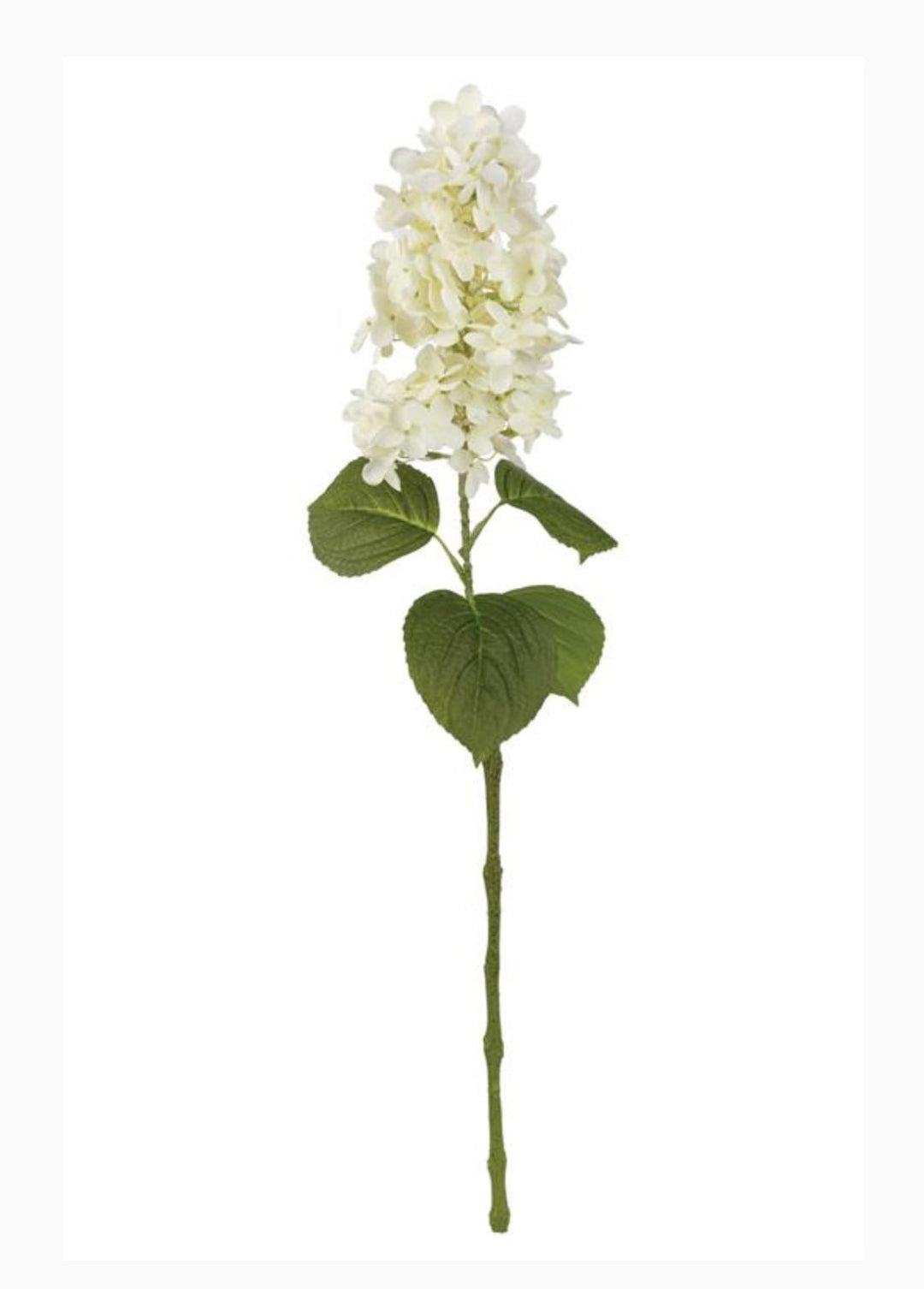 Peegee hydrangea stem - white - real touch - Greenery Market6466 - W