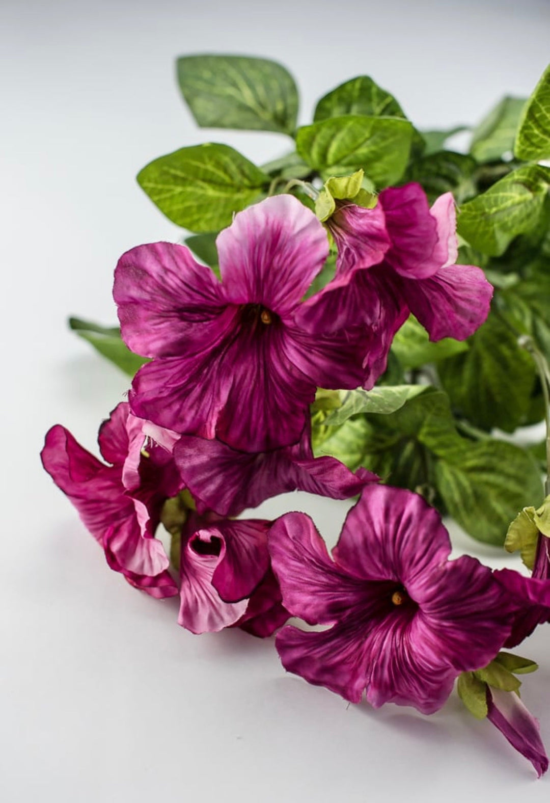 Petunia flowers, magenta pink - Greenery Marketartificial flowers25797