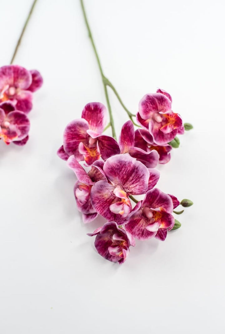 Phalaenopsis, Mini Orchid Flower spray - Magenta - Greenery MarketArtificial Flora6481 - MAG
