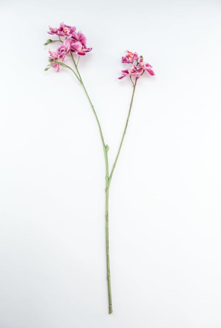 Phalaenopsis, Mini Orchid Flower spray - Magenta - Greenery MarketArtificial Flora6481 - MAG