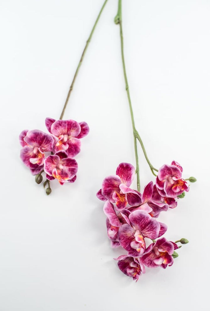 Phalaenopsis, Mini Orchid Flower spray - Magenta - Greenery MarketArtificial Flora6481 - MAG