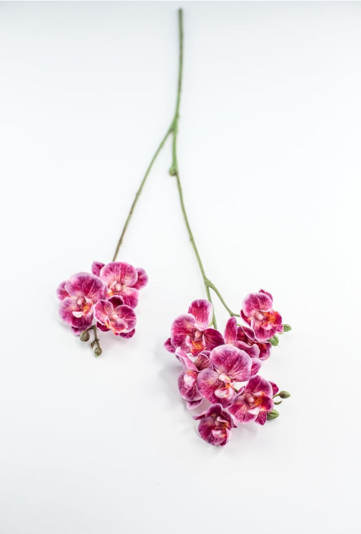 Phalaenopsis, Mini Orchid Flower spray - Magenta - Greenery MarketArtificial Flora6481 - MAG