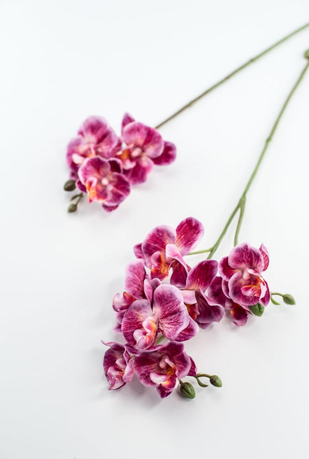 Phalaenopsis, Mini Orchid Flower spray - Magenta - Greenery MarketArtificial Flora6481 - MAG