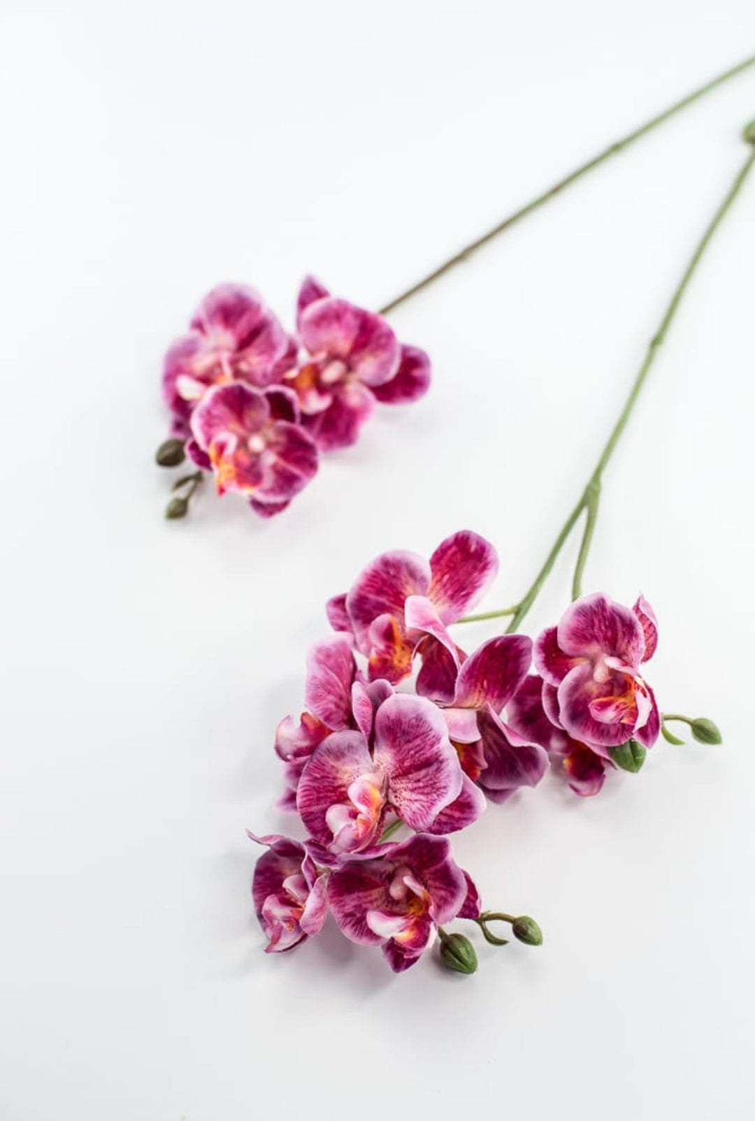 Phalaenopsis, Mini Orchid Flower spray - Magenta - Greenery MarketArtificial Flora6481 - MAG