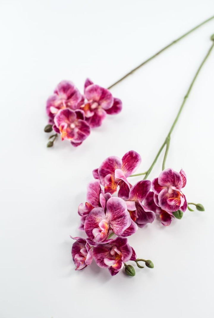 Phalaenopsis, Mini Orchid Flower spray - Magenta - Greenery MarketArtificial Flora6481 - MAG