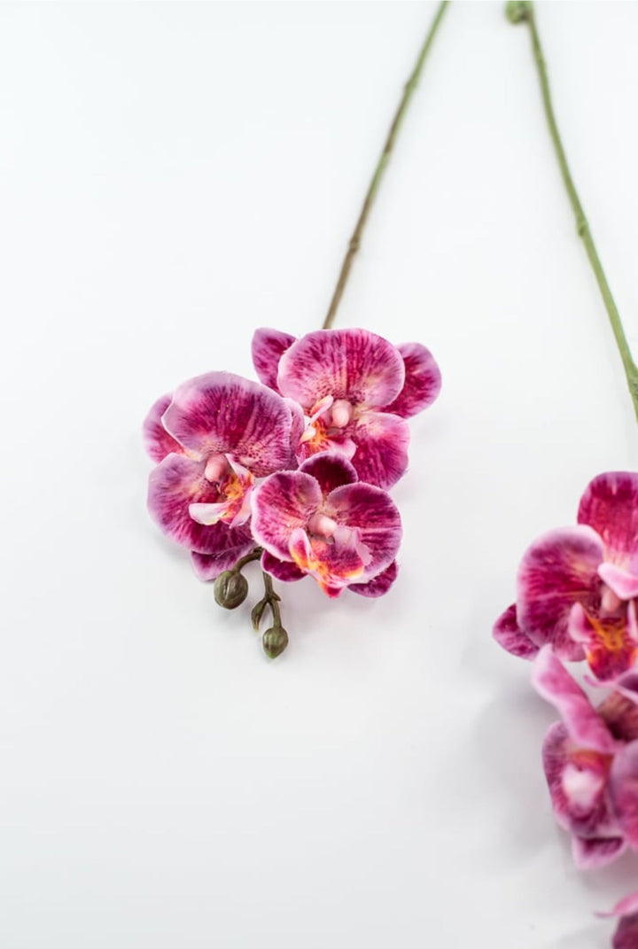 Phalaenopsis, Mini Orchid Flower spray - Magenta - Greenery MarketArtificial Flora6481 - MAG