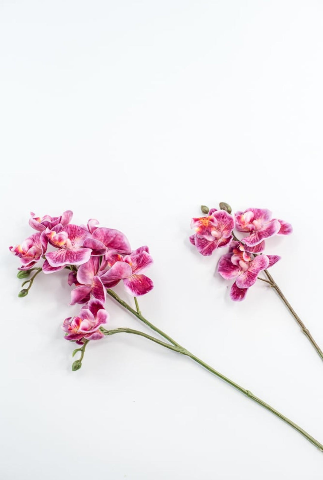 Phalaenopsis, Mini Orchid Flower spray - Magenta - Greenery MarketArtificial Flora6481 - MAG