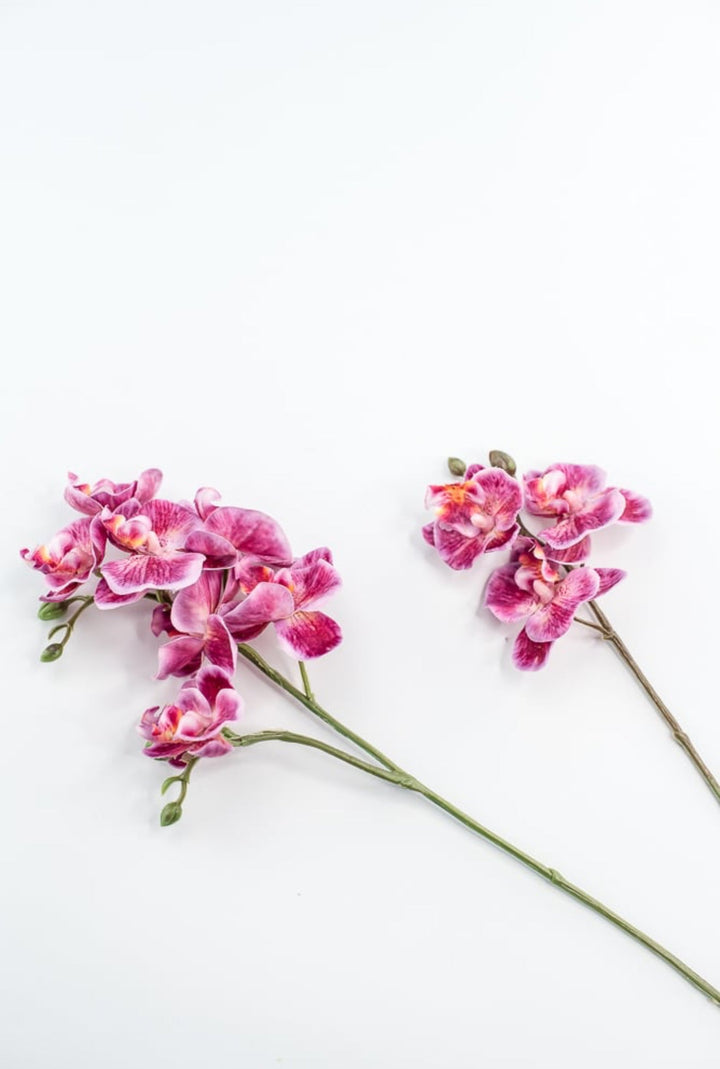 Phalaenopsis, Mini Orchid Flower spray - Magenta - Greenery MarketArtificial Flora6481 - MAG