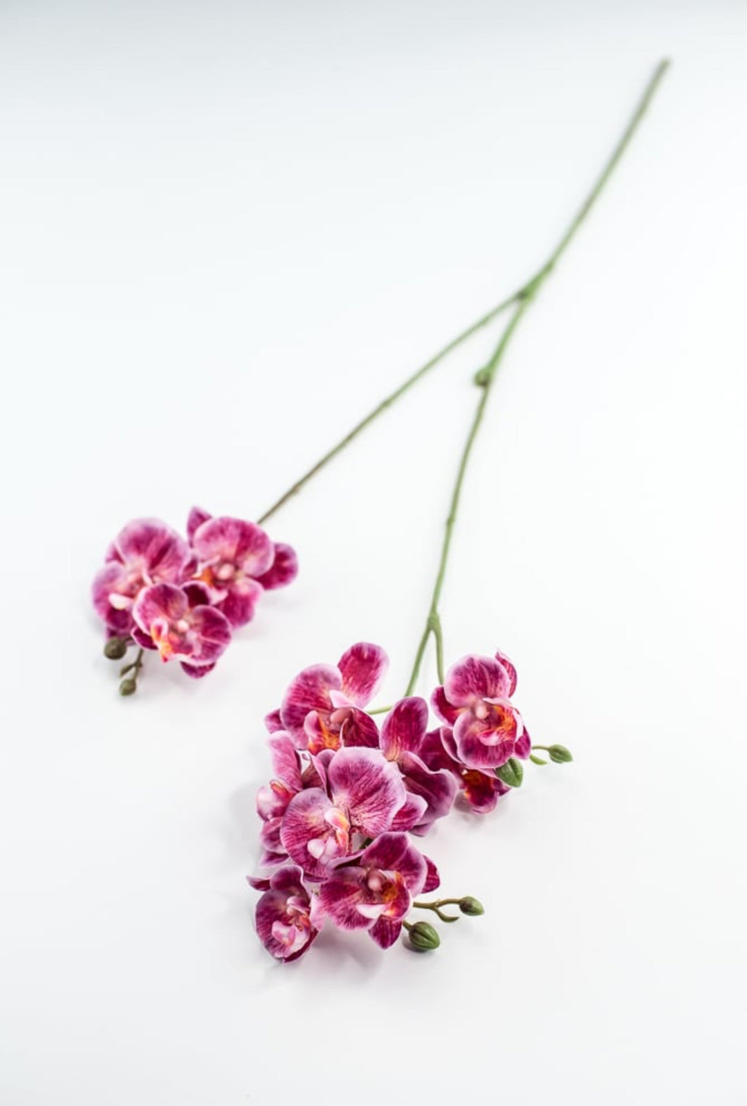 Phalaenopsis, Mini Orchid Flower spray - Magenta - Greenery MarketArtificial Flora6481 - MAG