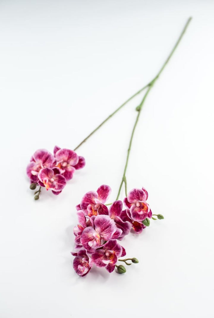 Phalaenopsis, Mini Orchid Flower spray - Magenta - Greenery MarketArtificial Flora6481 - MAG