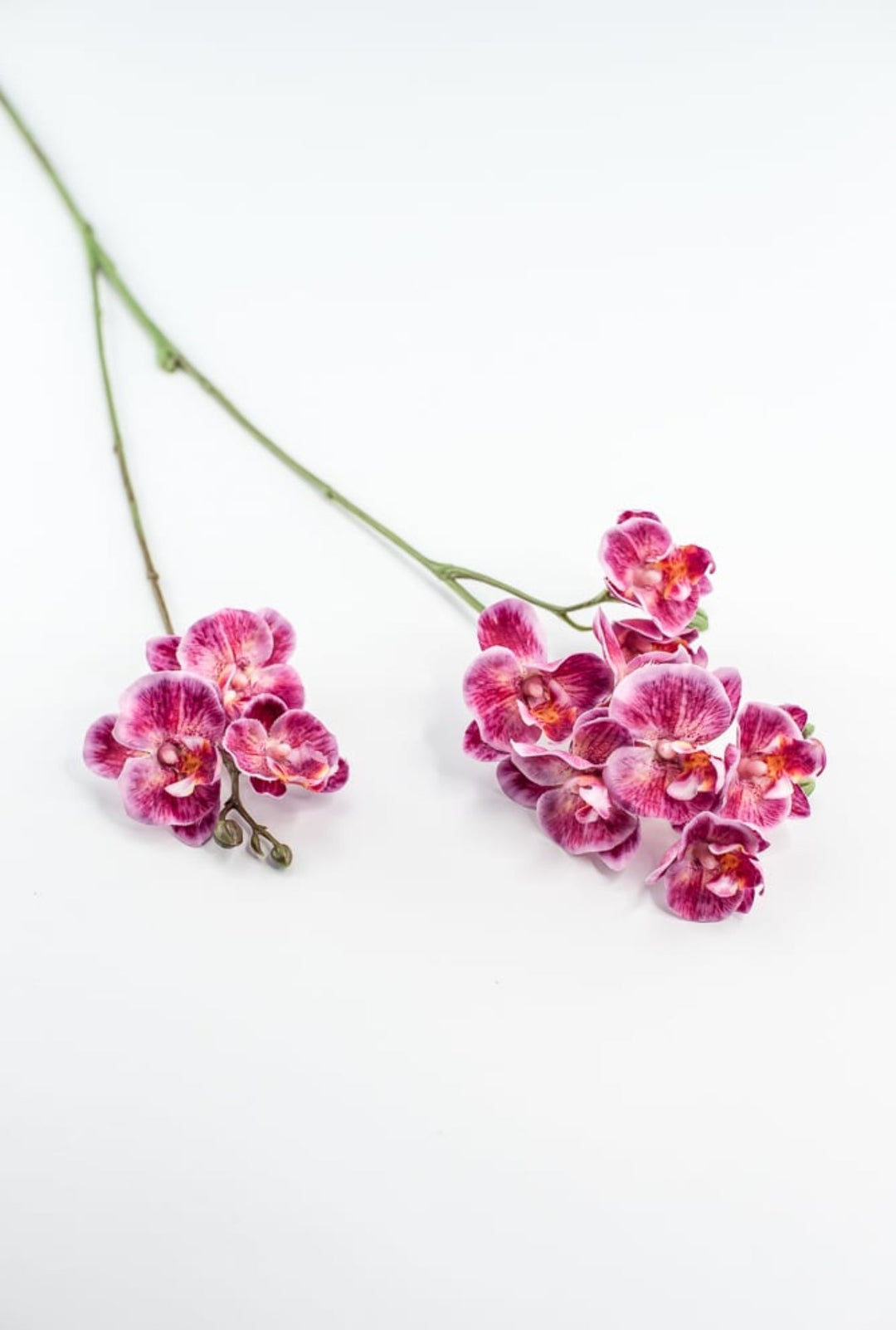 Phalaenopsis, Mini Orchid Flower spray - Magenta - Greenery MarketArtificial Flora6481 - MAG