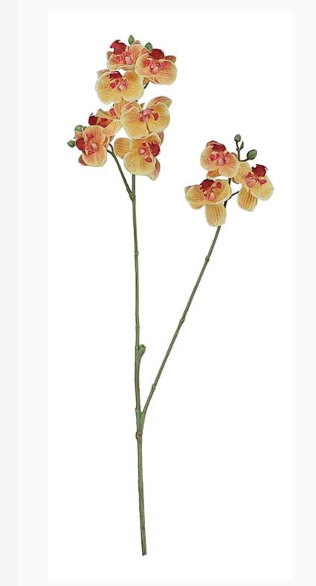 Phalaenopsis, Mini Orchid Flower spray - orange - Greenery MarketArtificial Flora6481 - OG