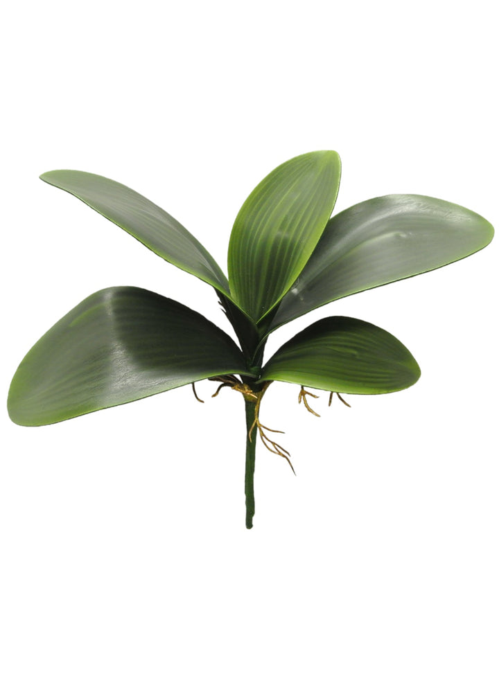 Phalaenopsis, Orchid Flower Foliage - Greenery MarketArtificial Flora58806