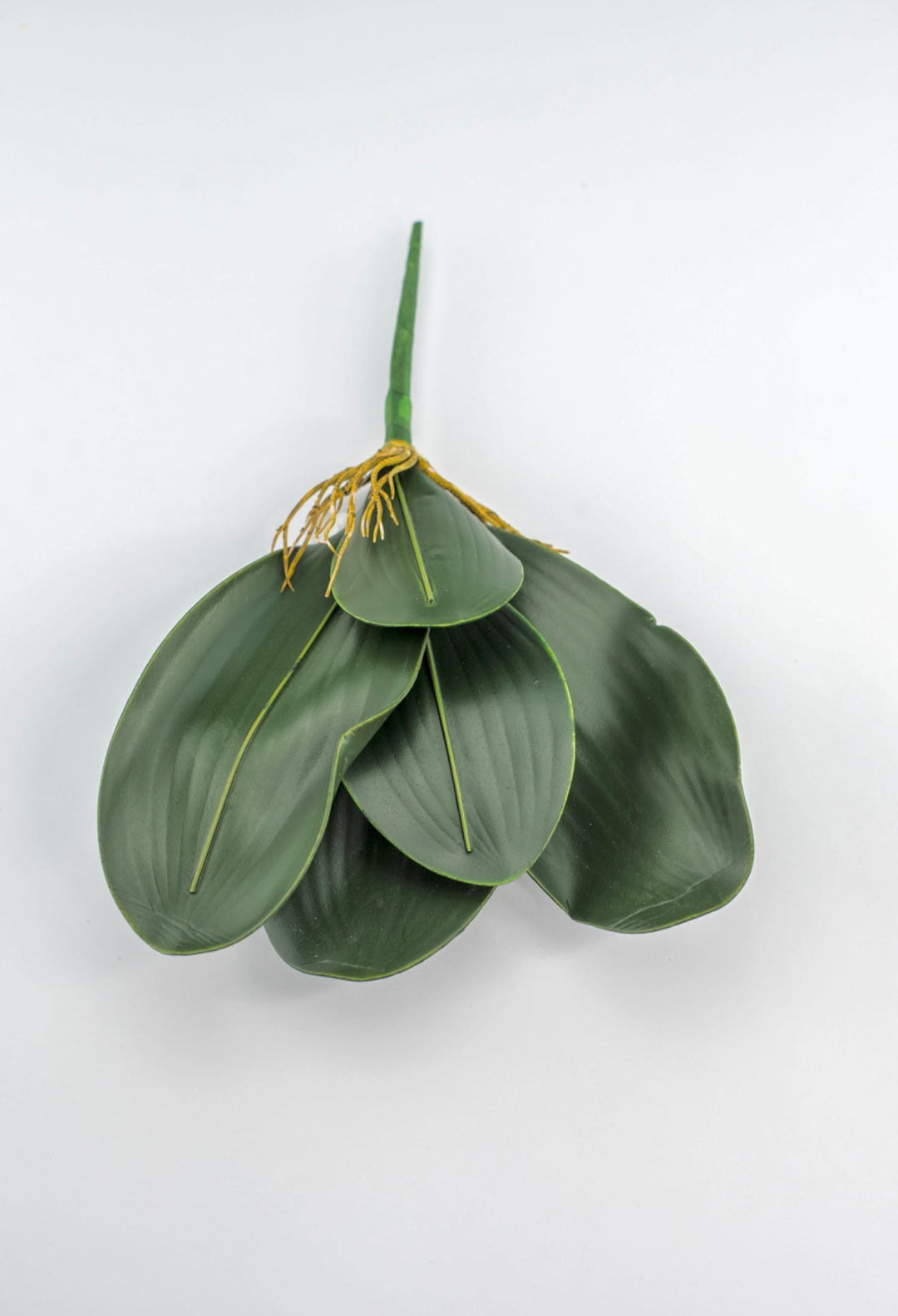 Phalaenopsis, Orchid Flower Foliage - Greenery MarketArtificial Flora58806