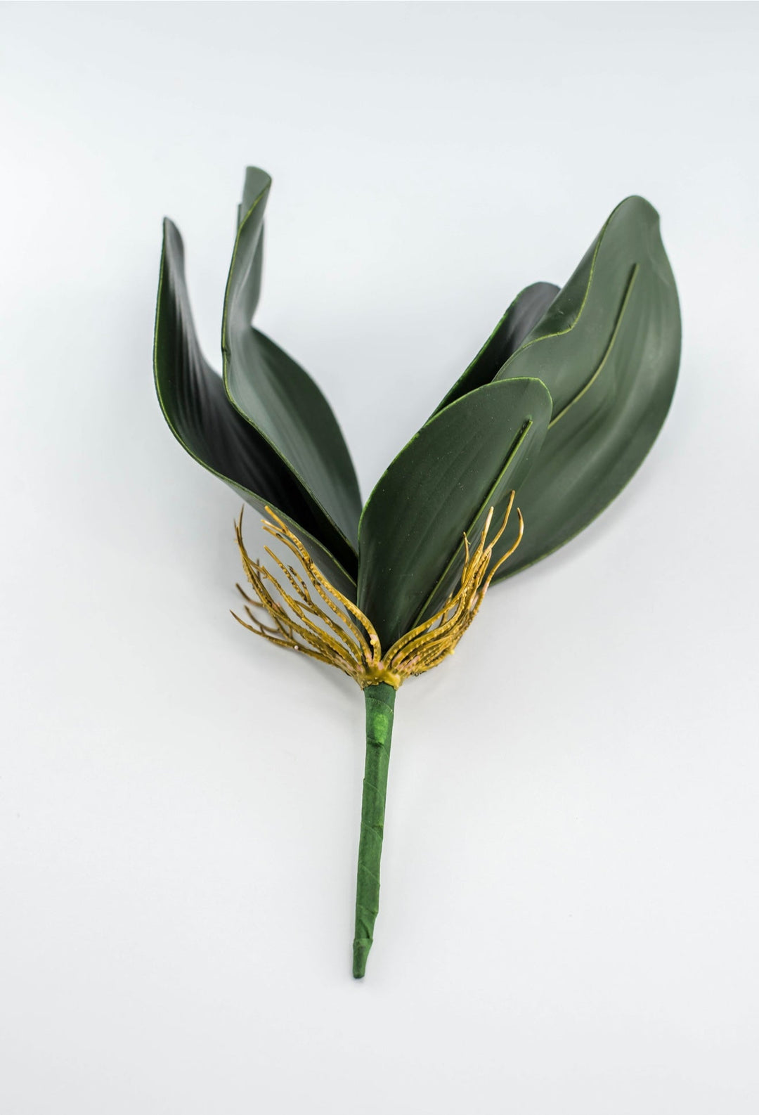 Phalaenopsis, Orchid Flower Foliage - Greenery MarketArtificial Flora58806