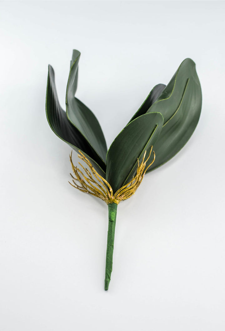 Phalaenopsis, Orchid Flower Foliage - Greenery MarketArtificial Flora58806