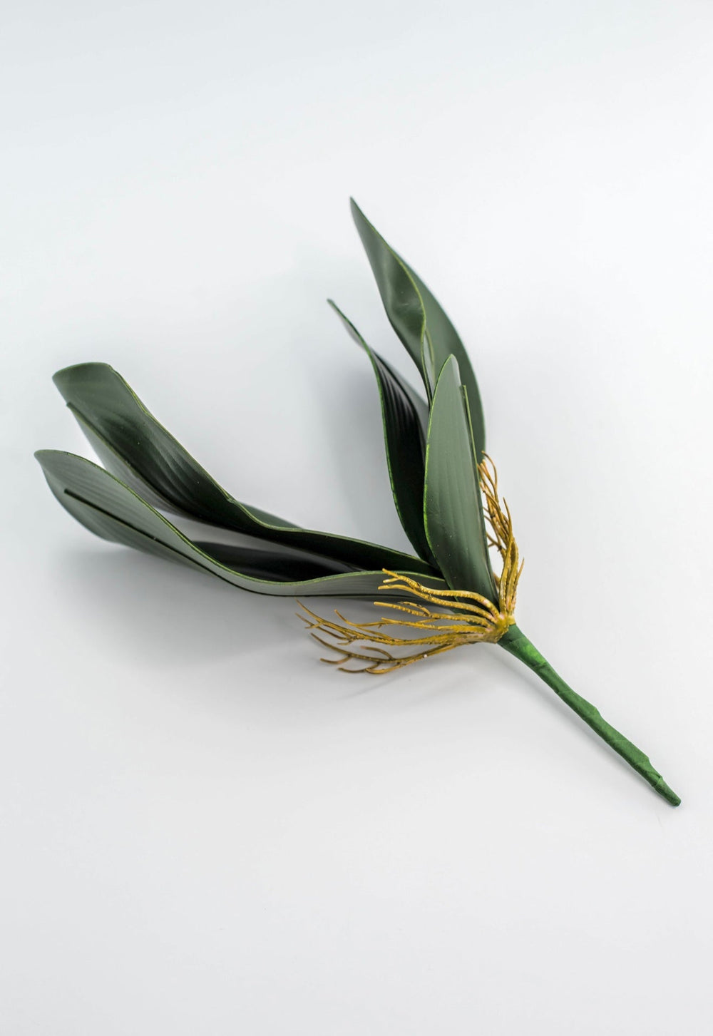 Phalaenopsis, Orchid Flower Foliage - Greenery MarketArtificial Flora58806