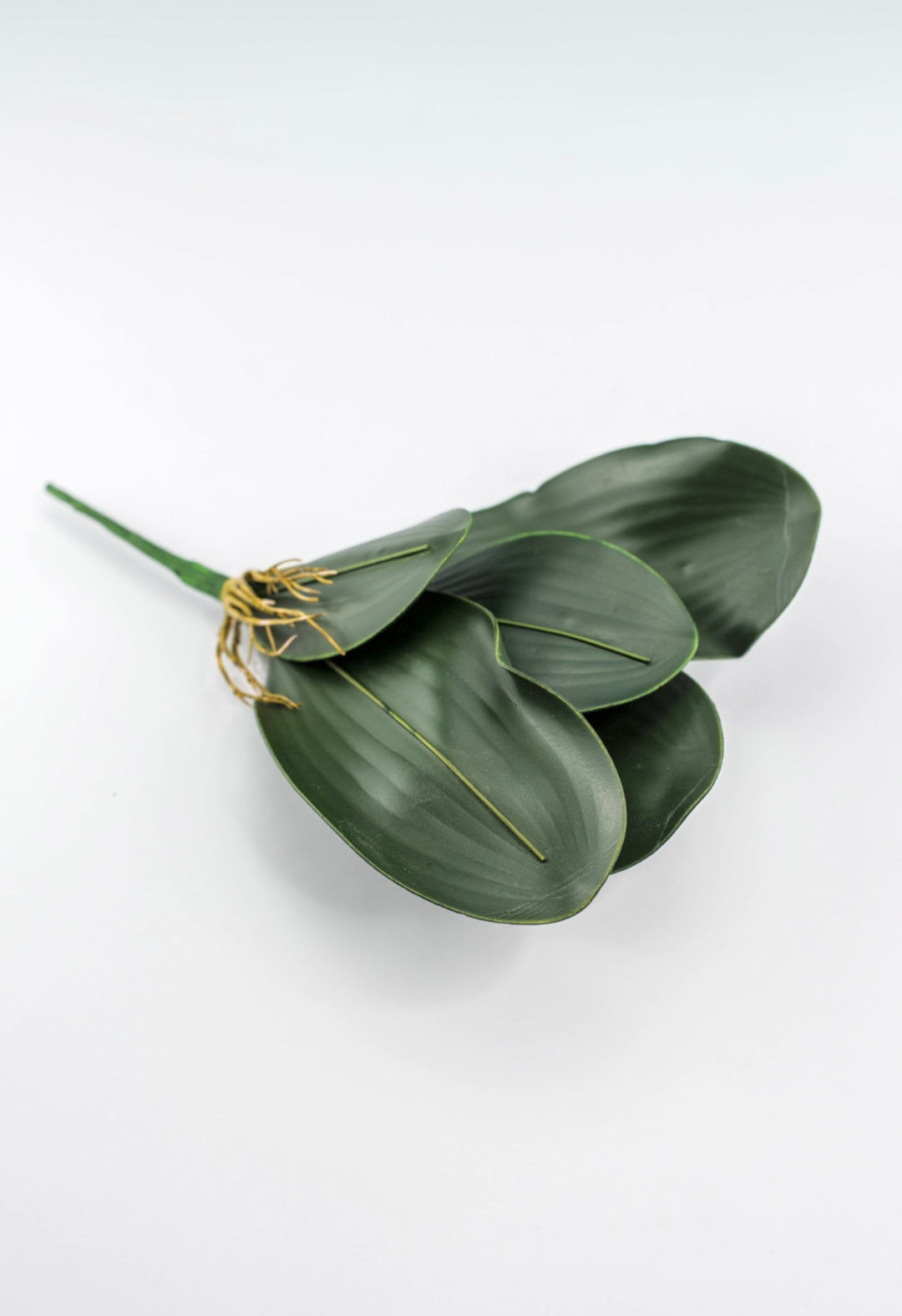 Phalaenopsis, Orchid Flower Foliage - Greenery MarketArtificial Flora58806