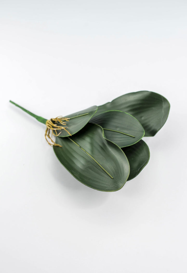 Phalaenopsis, Orchid Flower Foliage - Greenery MarketArtificial Flora58806