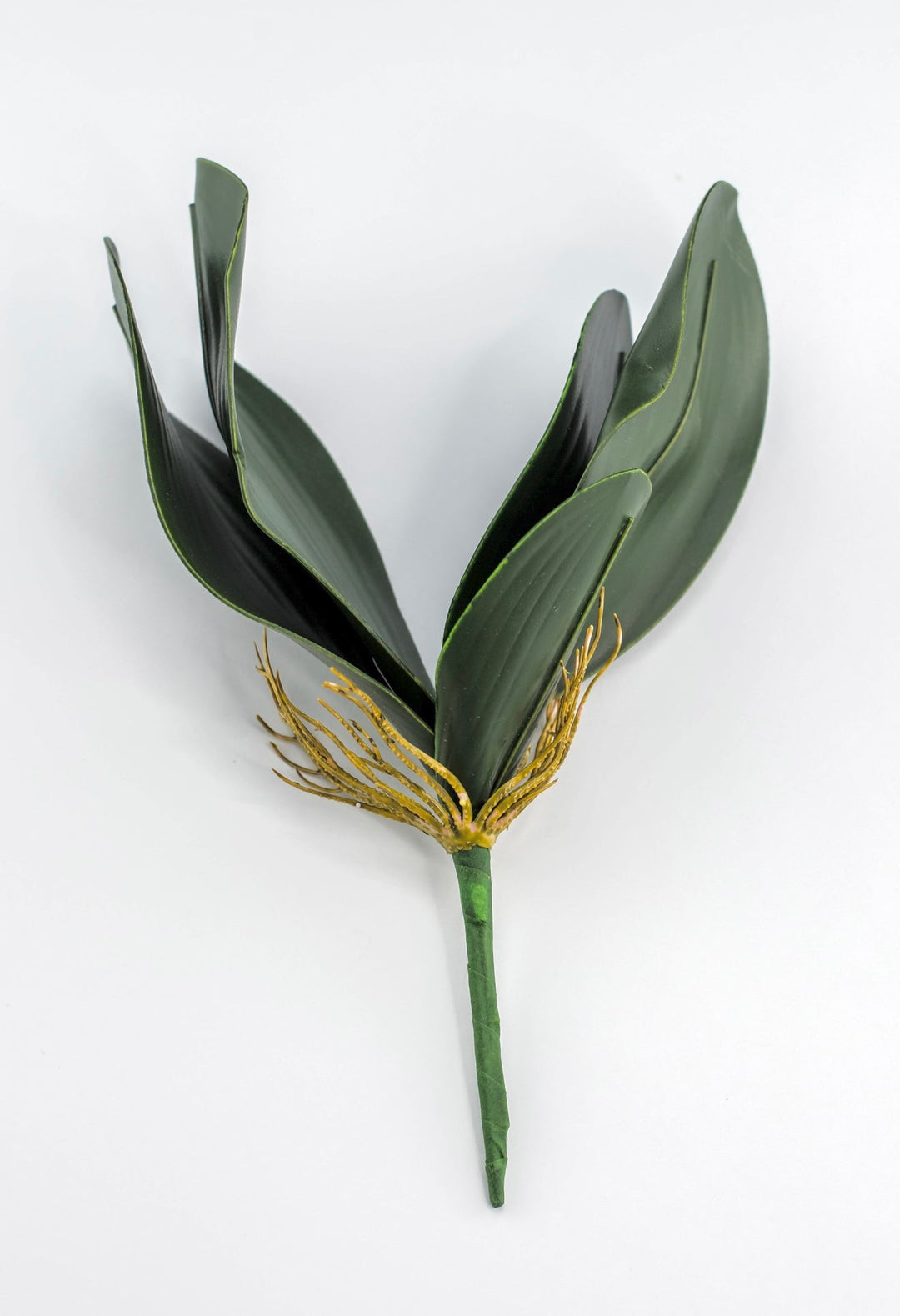 Phalaenopsis, Orchid Flower Foliage - Greenery MarketArtificial Flora58806