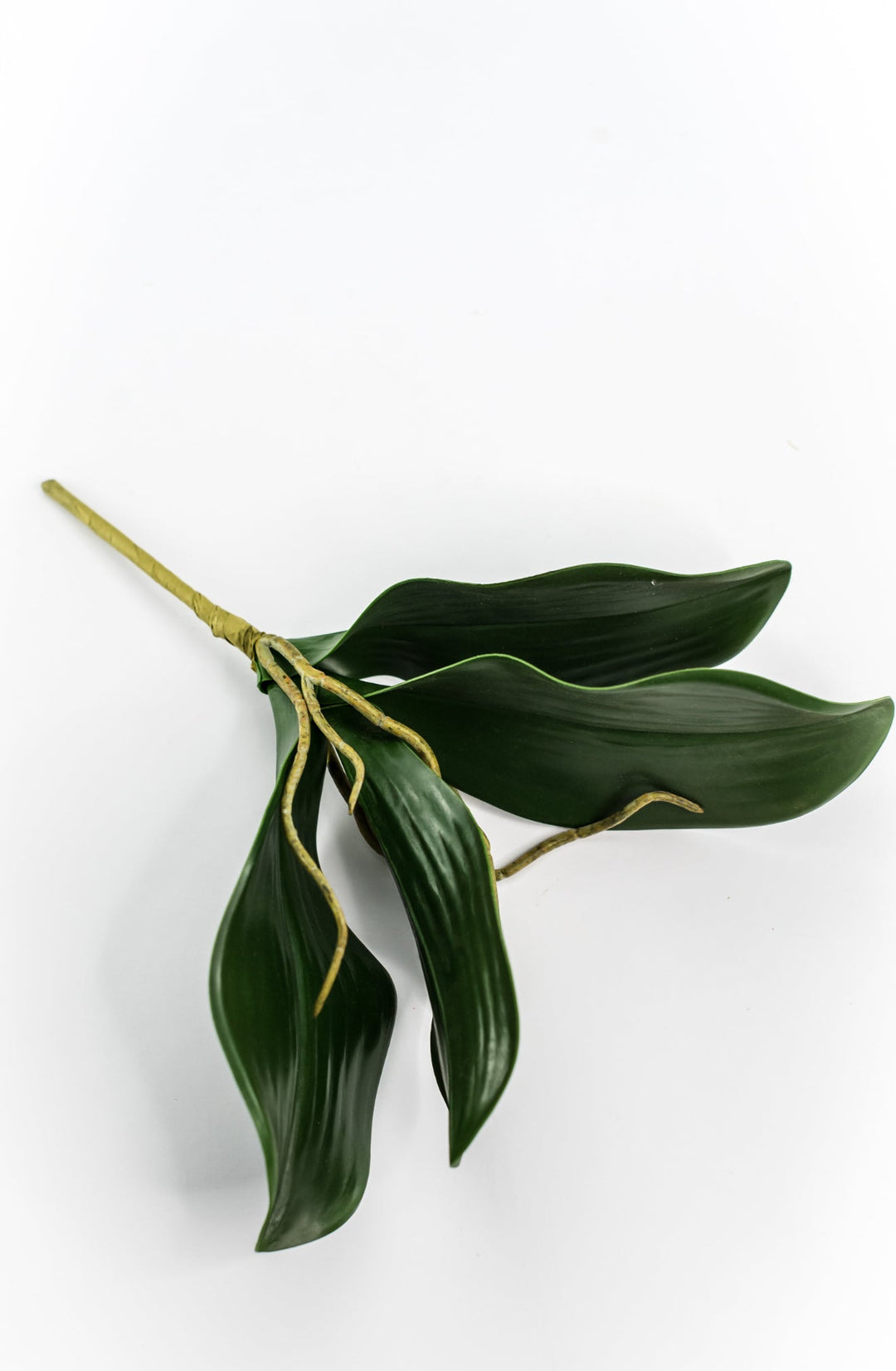phalaenopsis, orchid Flower foliage - Greenery MarketArtificial FloraMTF19735