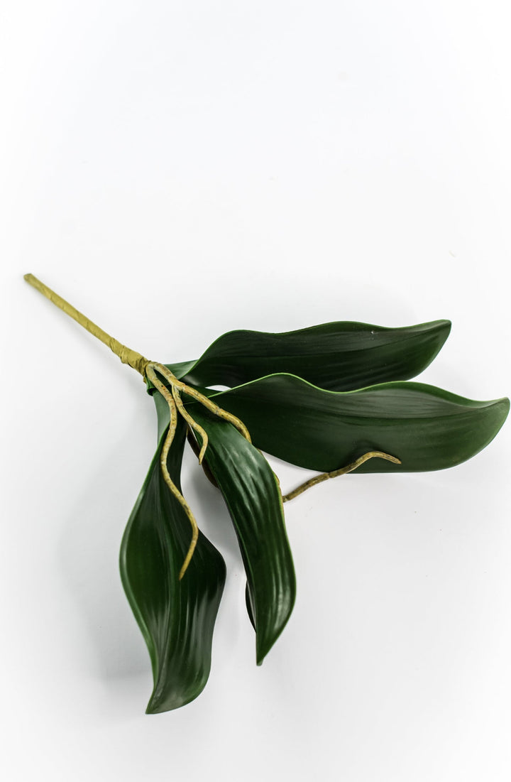 phalaenopsis, orchid Flower foliage - Greenery MarketArtificial FloraMTF19735
