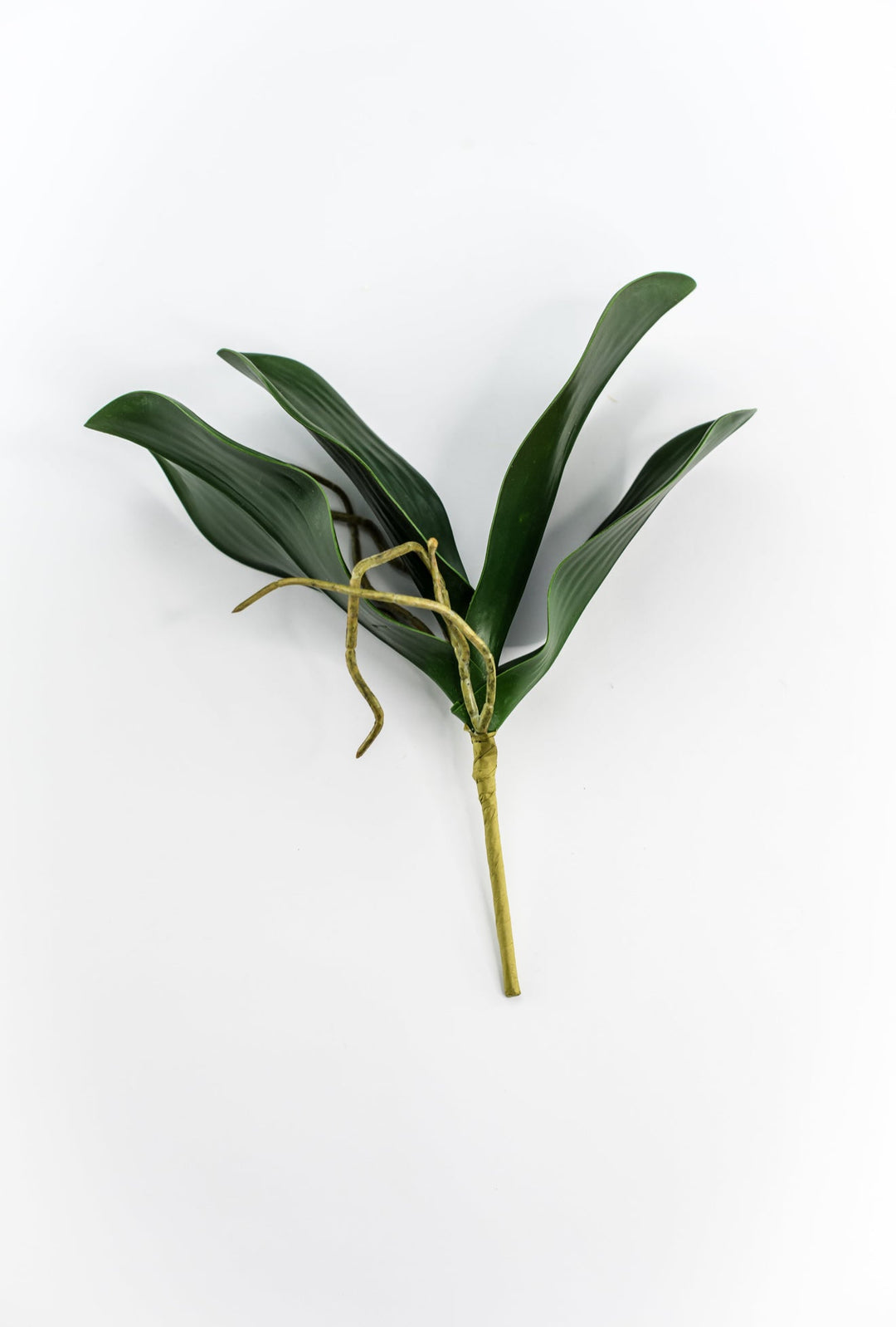 phalaenopsis, orchid Flower foliage - Greenery MarketArtificial FloraMTF19735