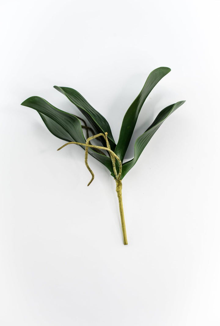phalaenopsis, orchid Flower foliage - Greenery MarketArtificial FloraMTF19735