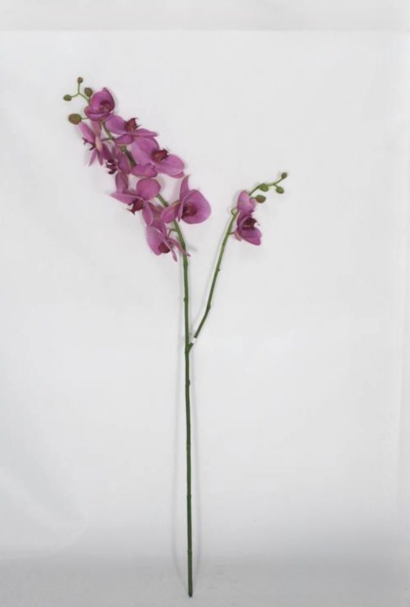 Phalaenopsis, Orchid Flower Spray - Purple - Greenery MarketArtificial Flora6478 - PUG
