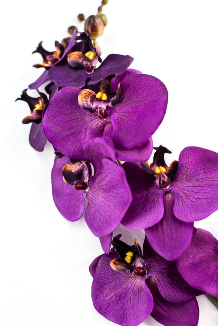 phalaenopsis, orchid Flower spray - Violet - Greenery MarketArtificial FloraMTF22204 VIOL
