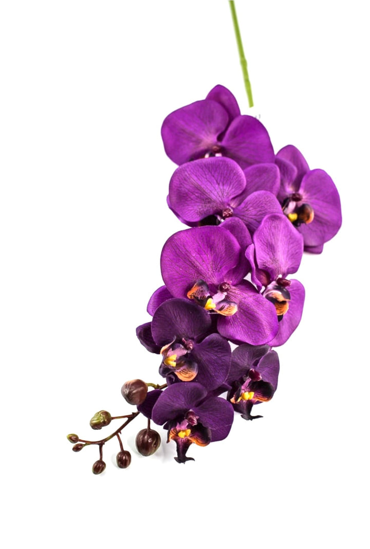 phalaenopsis, orchid Flower spray - Violet - Greenery MarketArtificial FloraMTF22204 VIOL