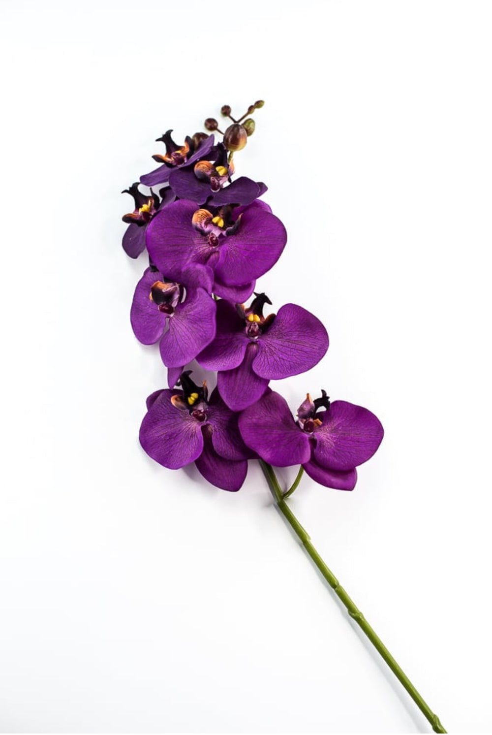 phalaenopsis, orchid Flower spray - Violet - Greenery MarketArtificial FloraMTF22204 VIOL