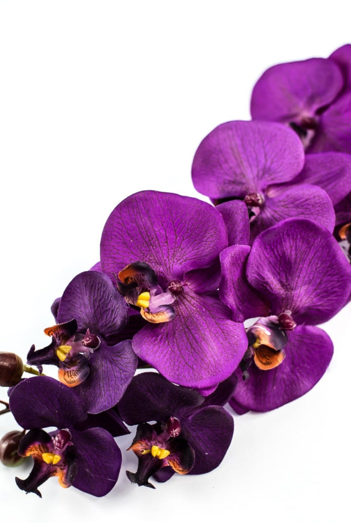 phalaenopsis, orchid Flower spray - Violet - Greenery MarketArtificial FloraMTF22204 VIOL