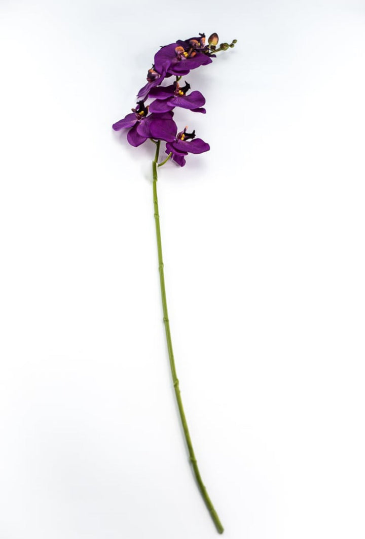 phalaenopsis, orchid Flower spray - Violet - Greenery MarketArtificial FloraMTF22204 VIOL