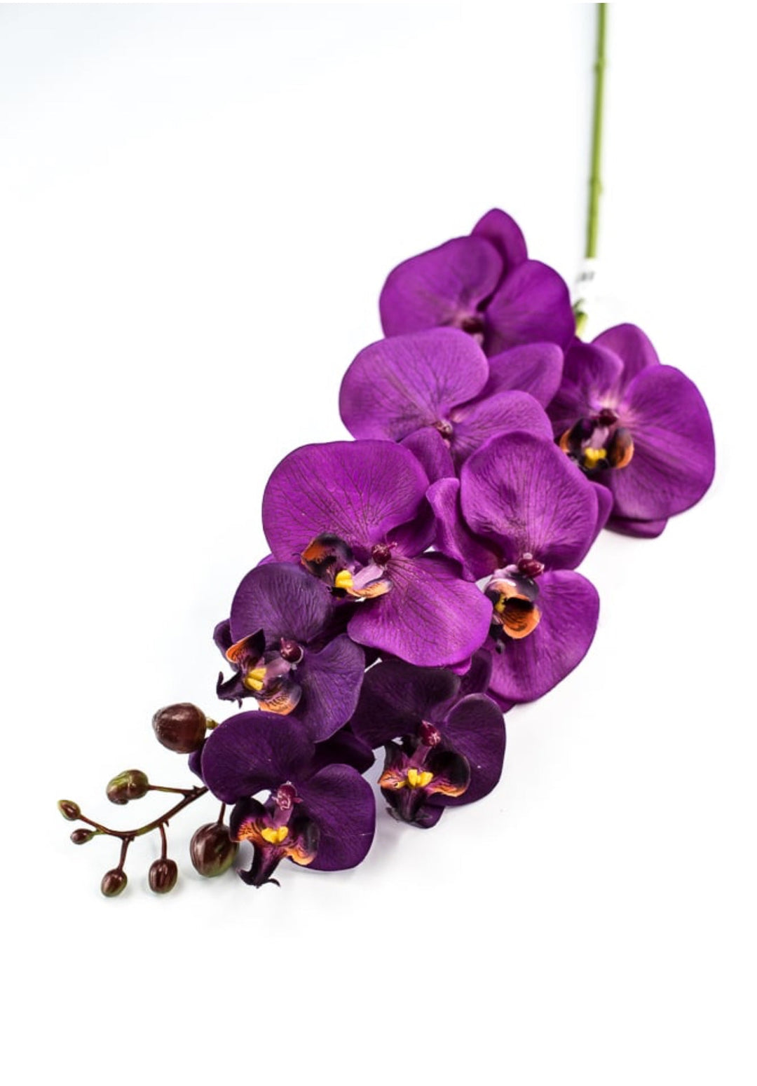 phalaenopsis, orchid Flower spray - Violet - Greenery MarketArtificial FloraMTF22204 VIOL