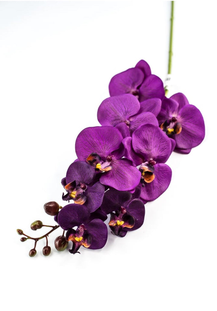 phalaenopsis, orchid Flower spray - Violet - Greenery MarketArtificial FloraMTF22204 VIOL