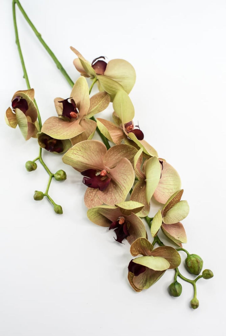 Phalaenopsis, Orchid Flower spray - Greenery MarketArtificial Flora6478 - MVG
