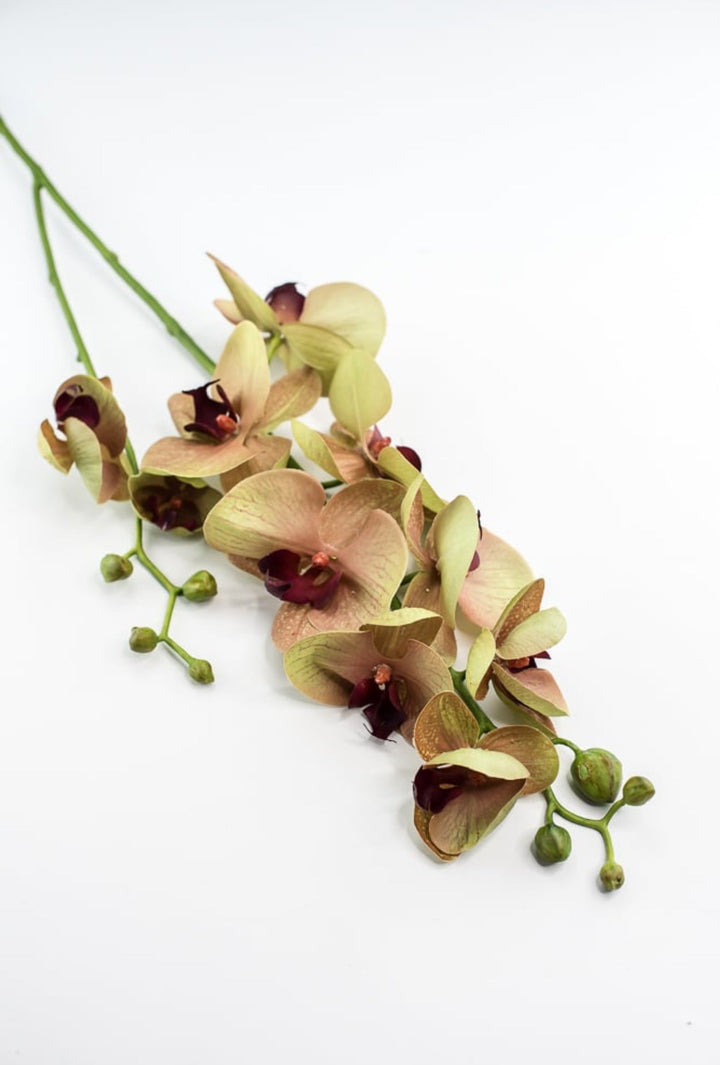 Phalaenopsis, Orchid Flower spray - Greenery MarketArtificial Flora6478 - MVG