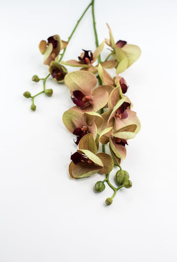 Phalaenopsis, Orchid Flower spray - Greenery MarketArtificial Flora6478 - MVG