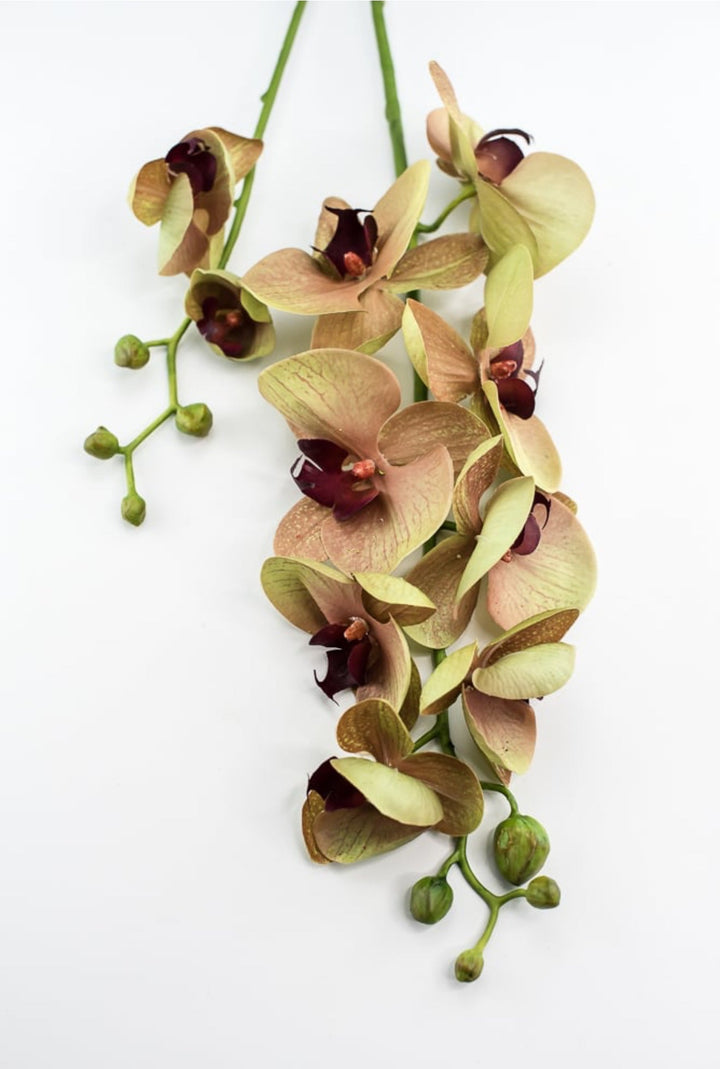 Phalaenopsis, Orchid Flower spray - Greenery MarketArtificial Flora6478 - MVG