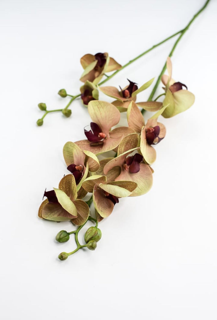 Phalaenopsis, Orchid Flower spray - Greenery MarketArtificial Flora6478 - MVG