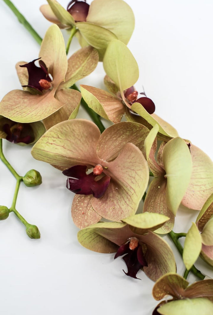 Phalaenopsis, Orchid Flower spray - Greenery MarketArtificial Flora6478 - MVG