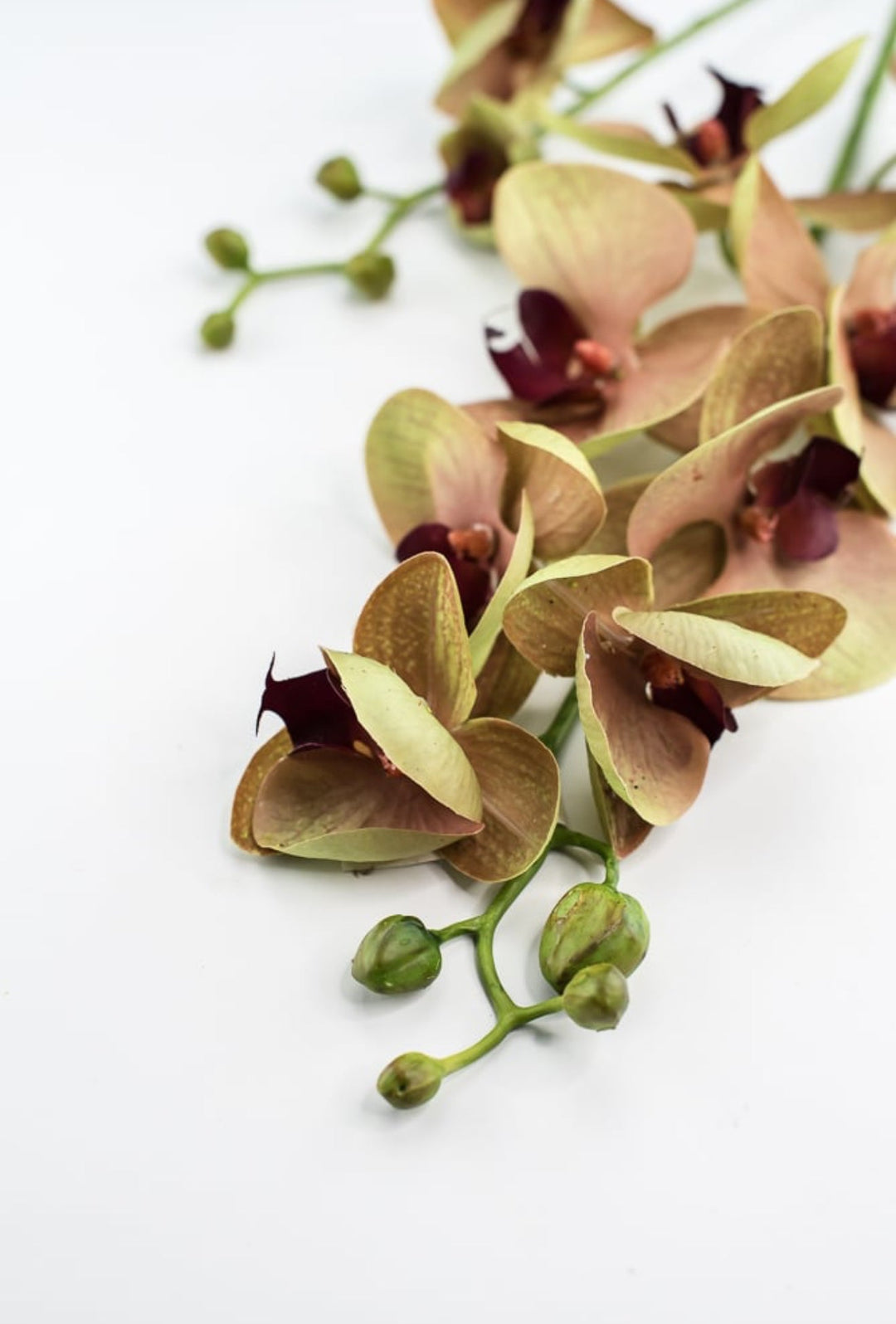 Phalaenopsis, Orchid Flower spray - Greenery MarketArtificial Flora6478 - MVG