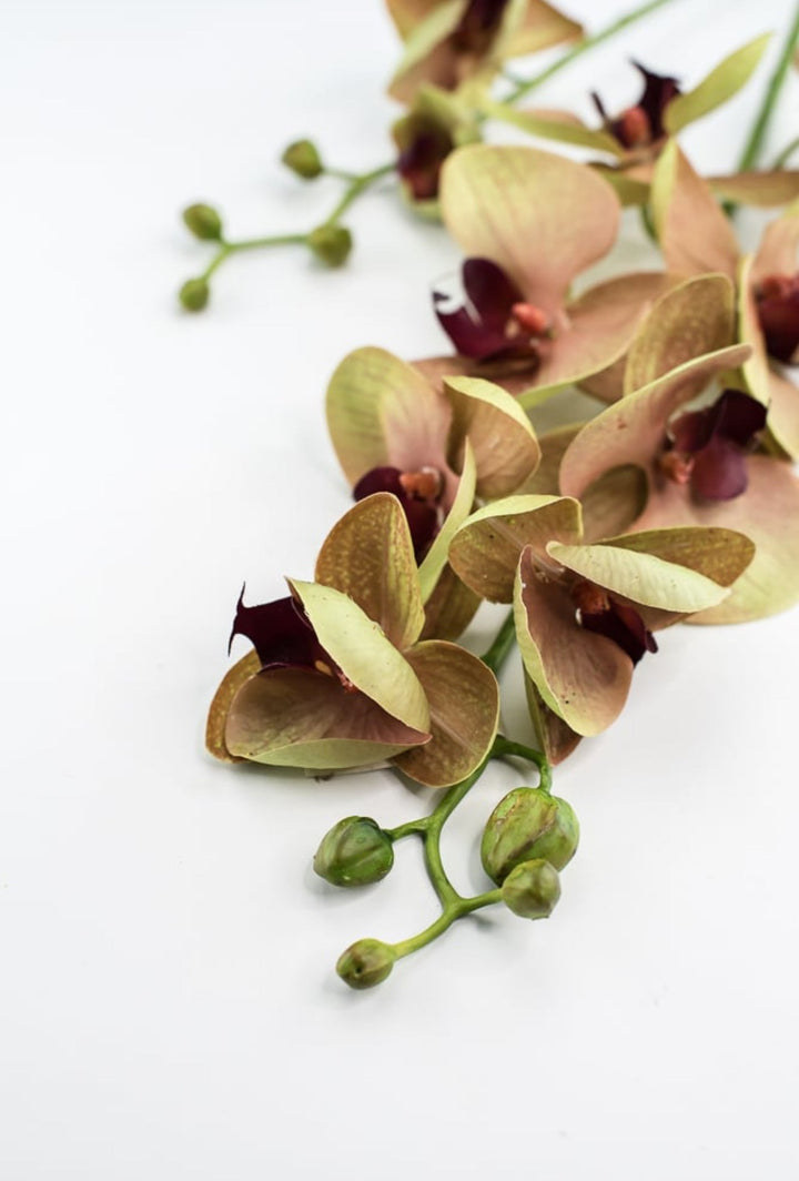 Phalaenopsis, Orchid Flower spray - Greenery MarketArtificial Flora6478 - MVG