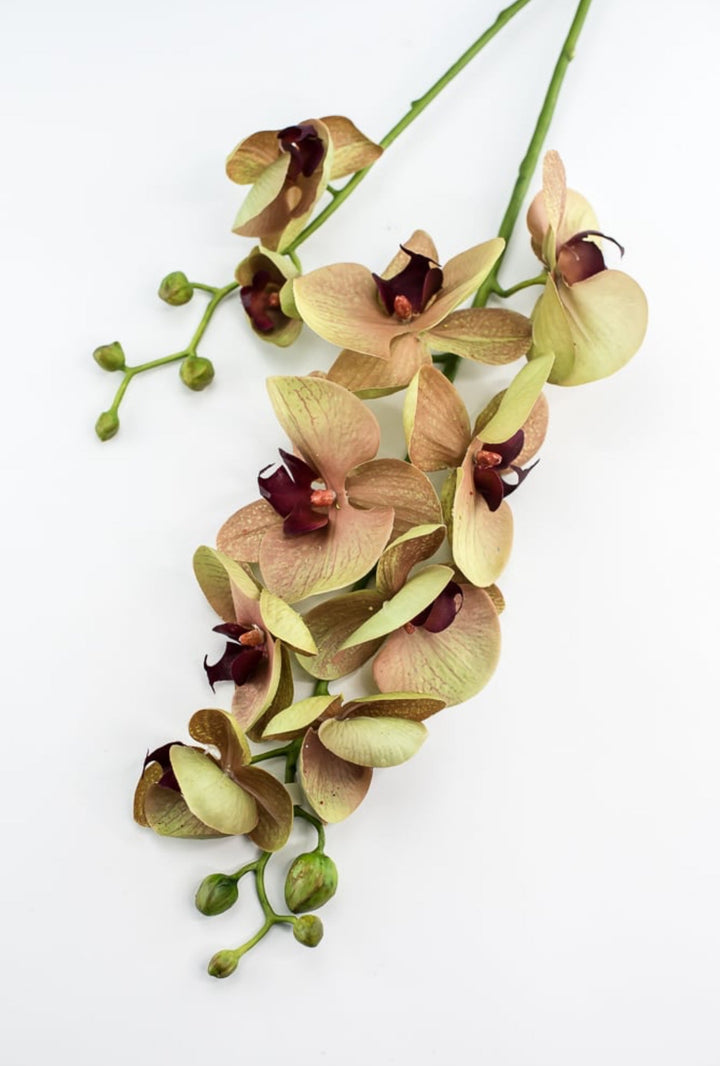 Phalaenopsis, Orchid Flower spray - Greenery MarketArtificial Flora6478 - MVG