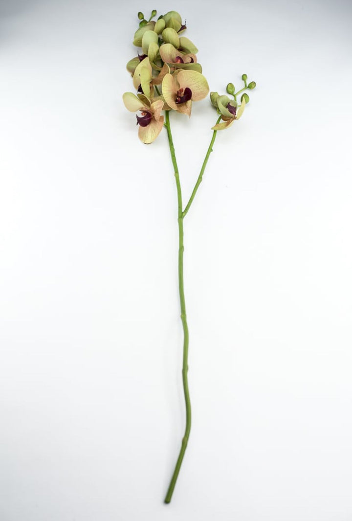 Phalaenopsis, Orchid Flower spray - Greenery MarketArtificial Flora6478 - MVG