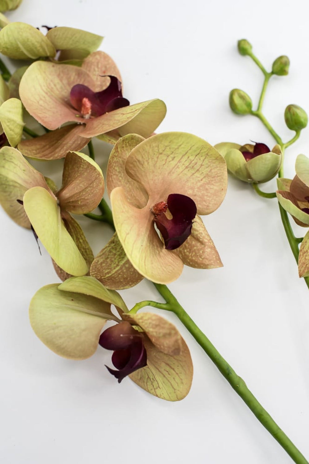 Phalaenopsis, Orchid Flower spray - Greenery MarketArtificial Flora6478 - MVG