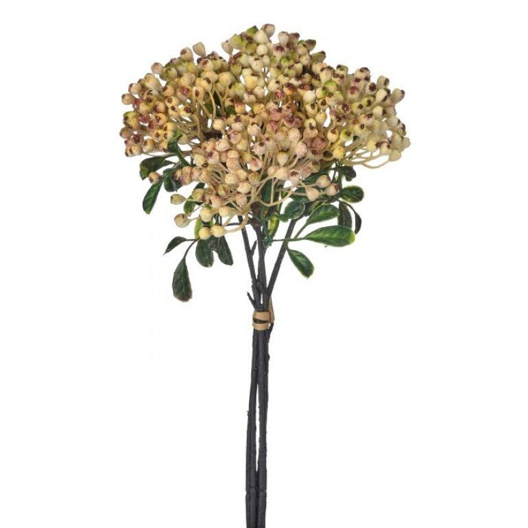 Pink, Cottage Berry bundle - Greenery MarketMTF24642 PINK