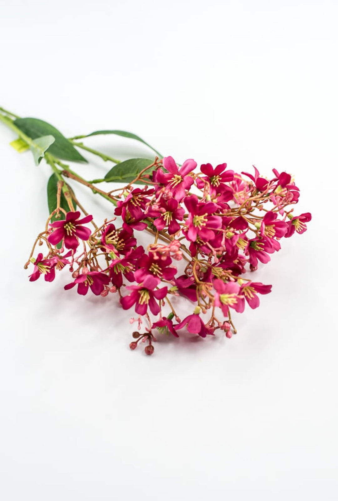 Pink Daphne Spray - Greenery Market29477BT